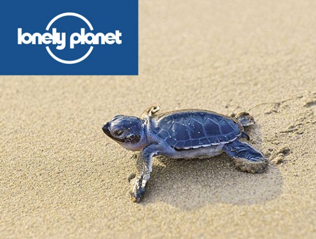 Lonely Planet Reveals Sea Turtle Protectors